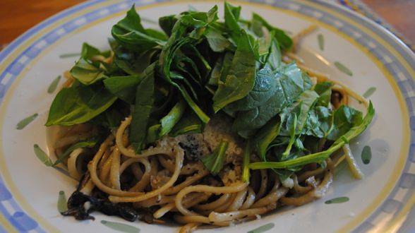 Portobello Cream Sauce with Whole Wheat Linguine